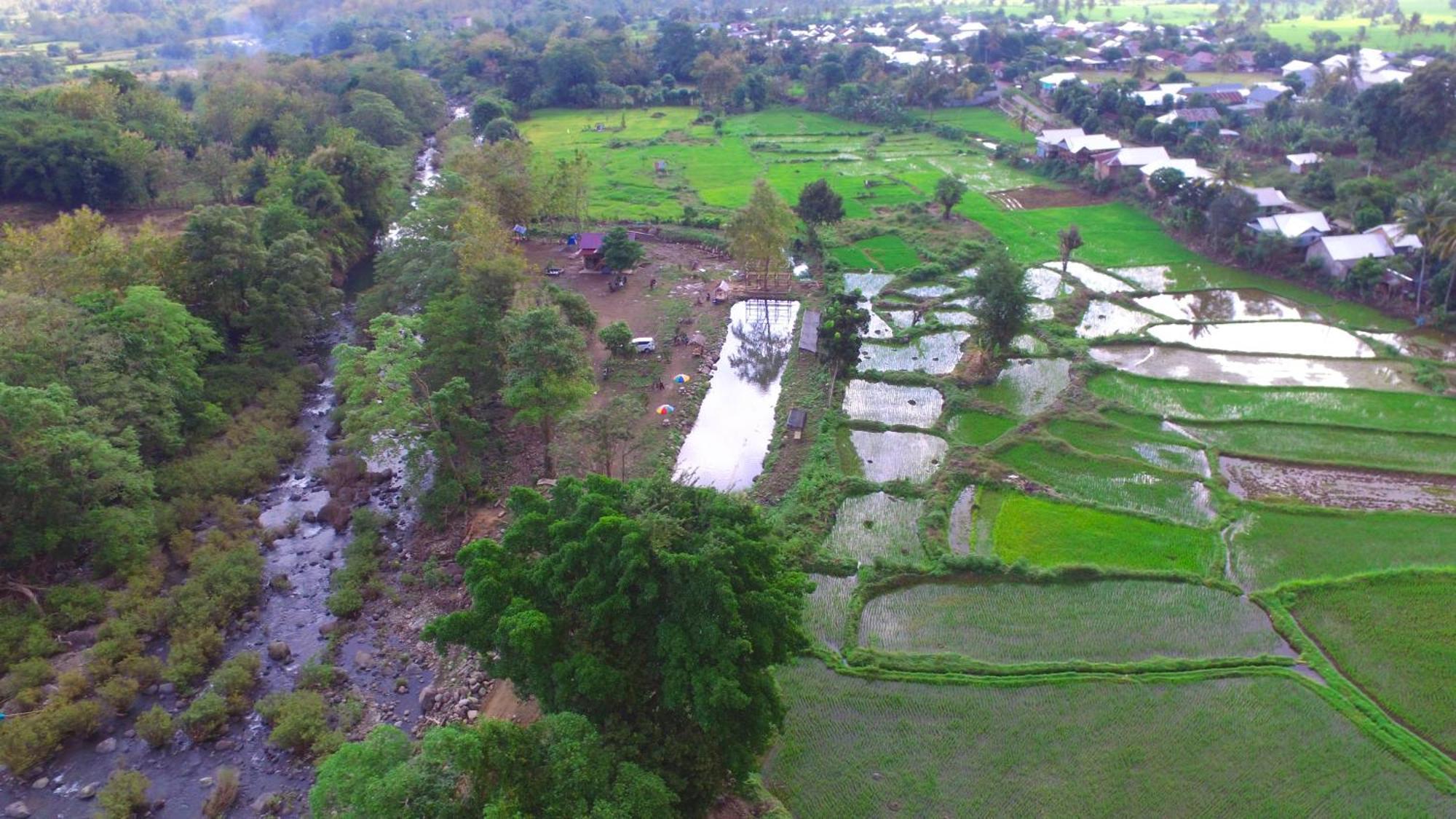Tiu Batu Homestay Alas Exteriör bild