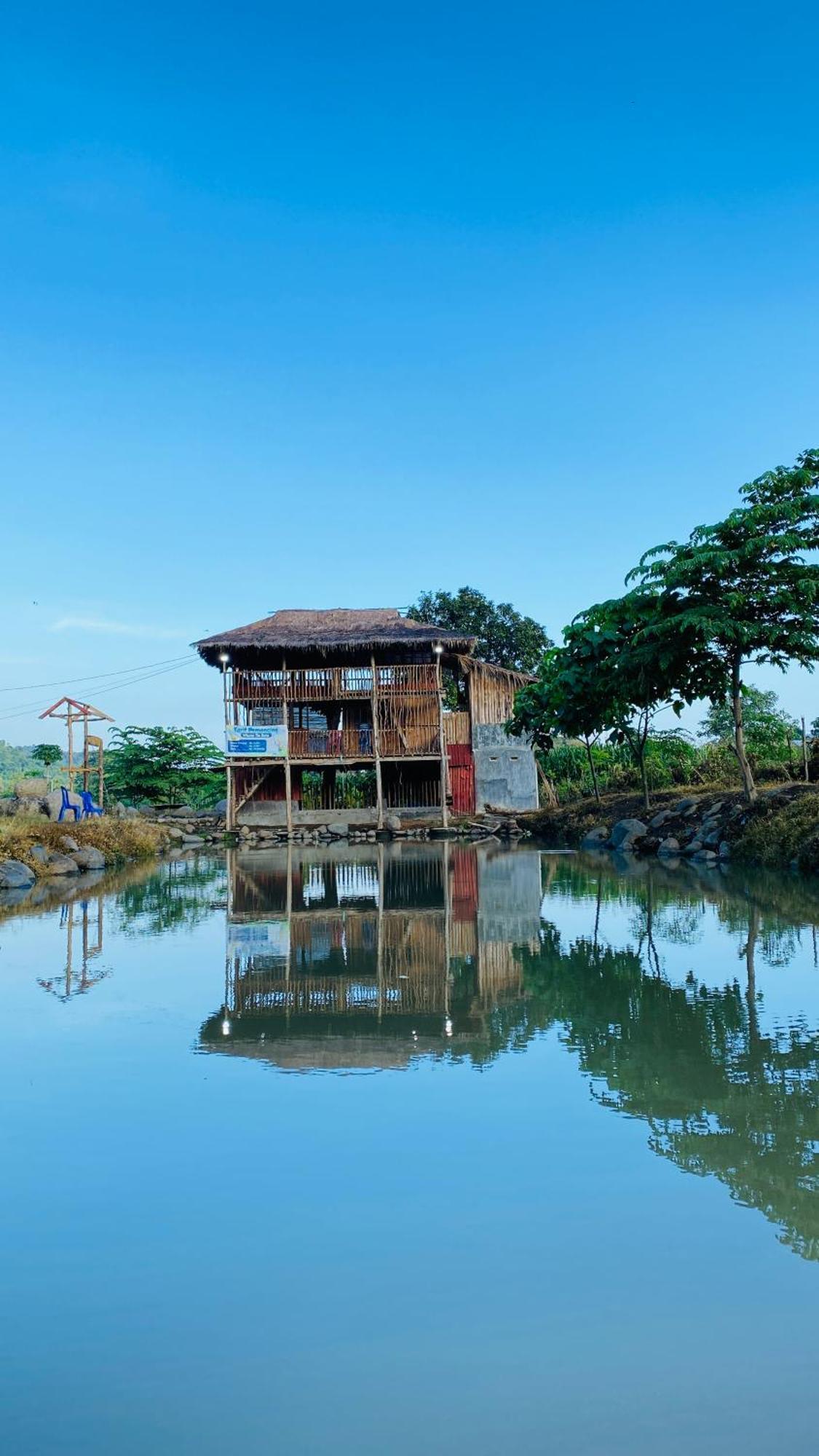 Tiu Batu Homestay Alas Exteriör bild